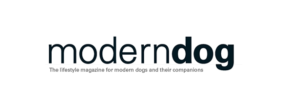 moderndog